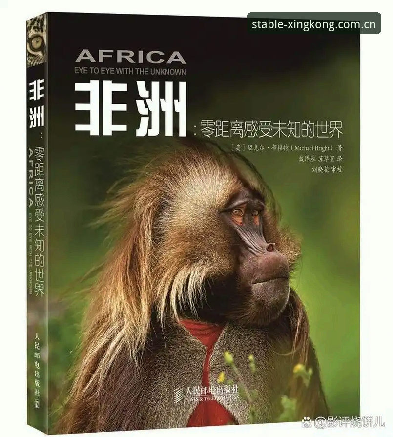 星空CN新版登录注册 索斯盖特转型幕后,BBC纪录片深度解析当代男性困境
